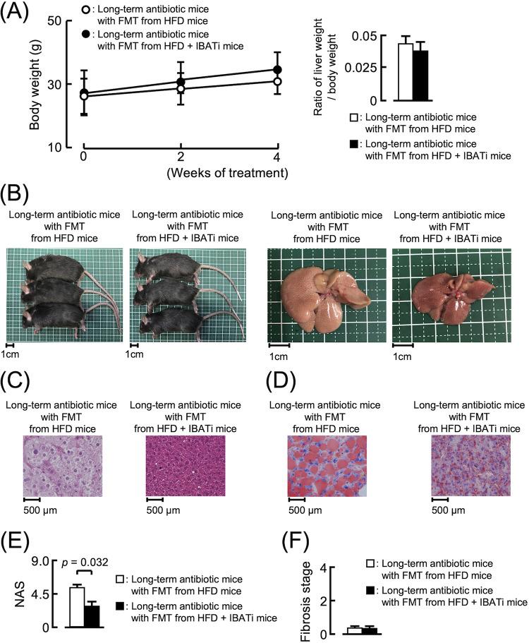 https://cdn.ncbi.nlm.nih.gov/pmc/blobs/48ef/8406289/ef6b9f53b3f4/mbio.01155-21-f005.jpg