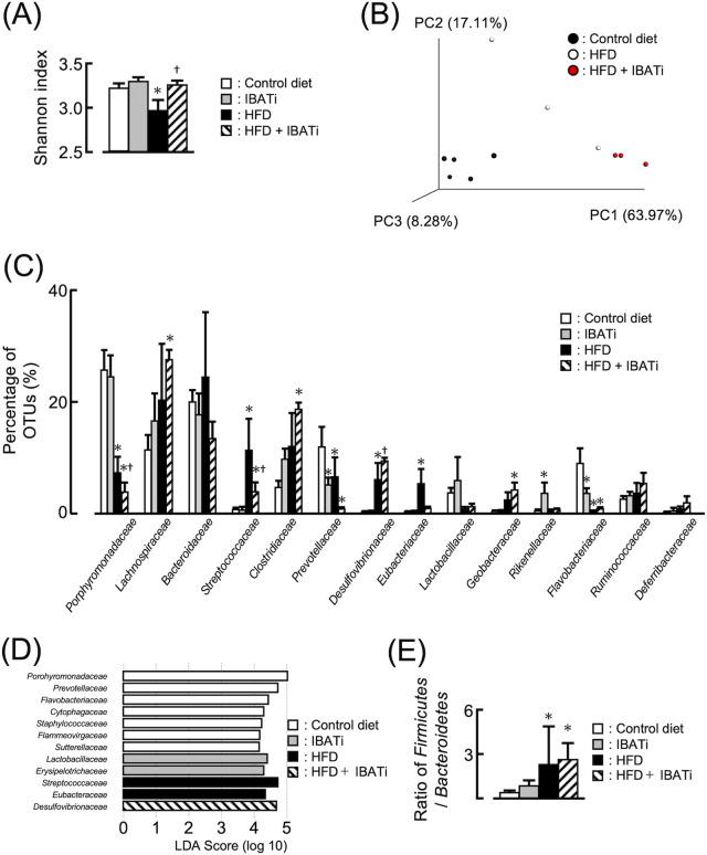 https://cdn.ncbi.nlm.nih.gov/pmc/blobs/48ef/8406289/f1a419df5949/mbio.01155-21-f001.jpg