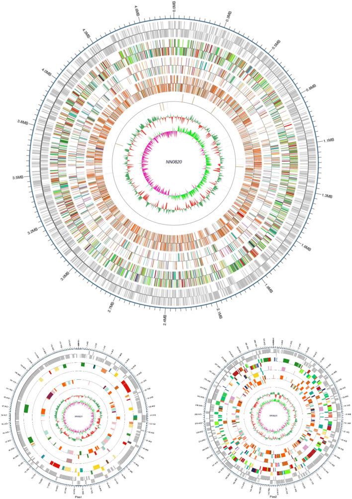 https://cdn.ncbi.nlm.nih.gov/pmc/blobs/48f1/7334272/59da7f0c6c7a/284_2020_1972_Fig3_HTML.jpg