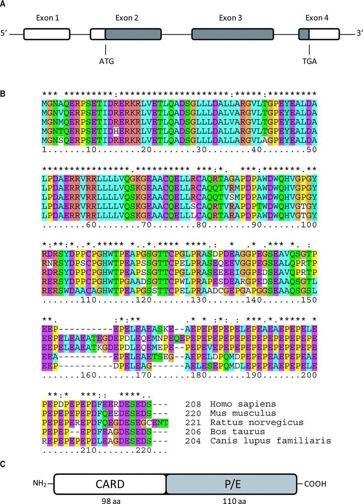 https://cdn.ncbi.nlm.nih.gov/pmc/blobs/48f3/3822617/0de4d6c7ace7/jcmm0015-1044-f1.jpg