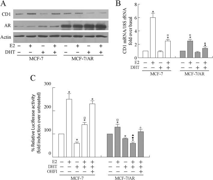 https://cdn.ncbi.nlm.nih.gov/pmc/blobs/48f3/6829973/10690e776924/12885_2019_6262_Fig2_HTML.jpg