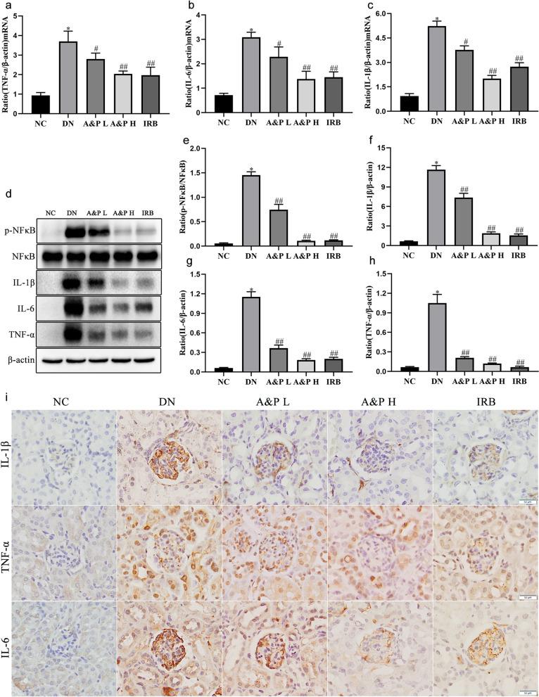 https://cdn.ncbi.nlm.nih.gov/pmc/blobs/48f4/8781170/69d67ca84e61/12906_2021_3477_Fig2_HTML.jpg