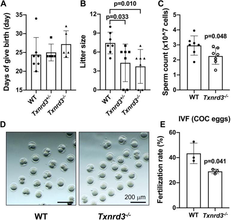 https://cdn.ncbi.nlm.nih.gov/pmc/blobs/48f6/9352919/ead27eda9301/gr2.jpg