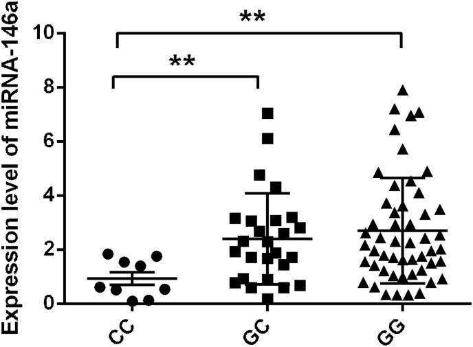 https://cdn.ncbi.nlm.nih.gov/pmc/blobs/48f8/9263420/3ac91a647c9c/gr2.jpg