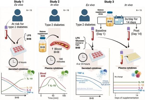 https://cdn.ncbi.nlm.nih.gov/pmc/blobs/48f9/10929696/1b6c2b877b53/uxad138_fig7.jpg