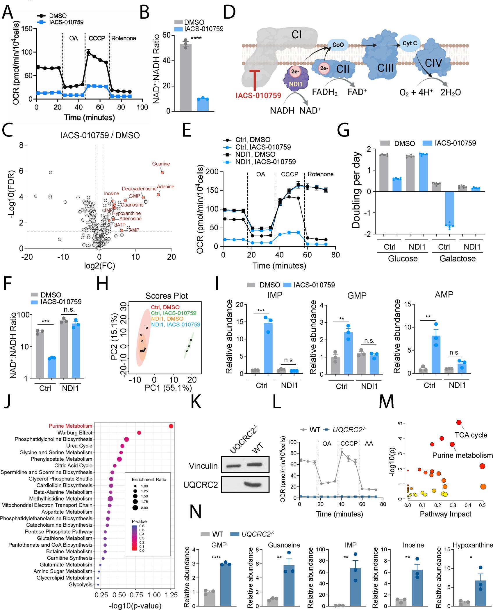 https://cdn.ncbi.nlm.nih.gov/pmc/blobs/48f9/11240302/622d15cb0e15/nihms-2004245-f0003.jpg