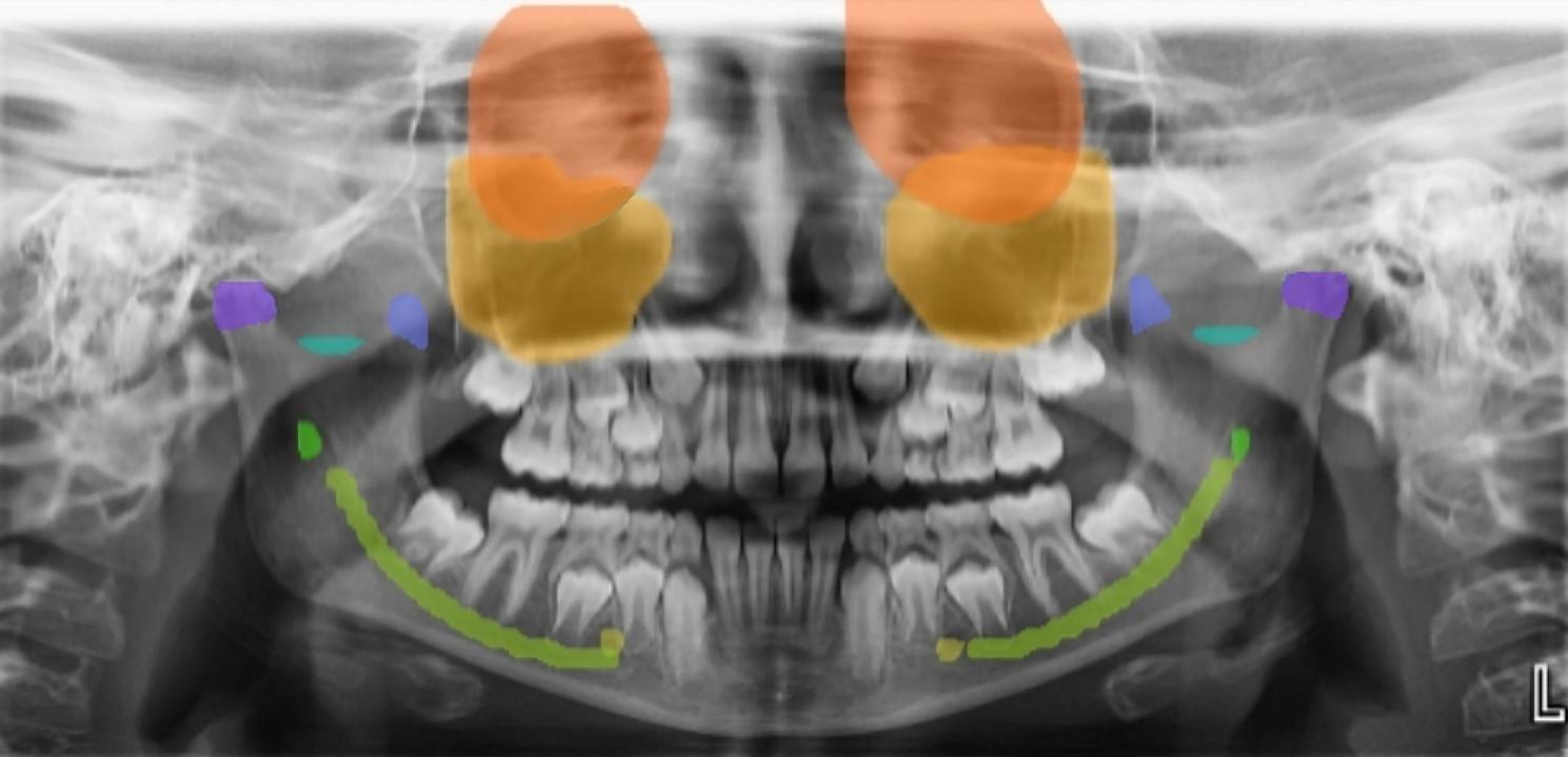 https://cdn.ncbi.nlm.nih.gov/pmc/blobs/48fb/10583406/074f0b098b66/12903_2023_3532_Fig2_HTML.jpg