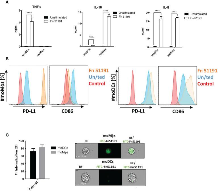 https://cdn.ncbi.nlm.nih.gov/pmc/blobs/48fb/8517482/b01af52b669f/fimmu-12-744184-g003.jpg