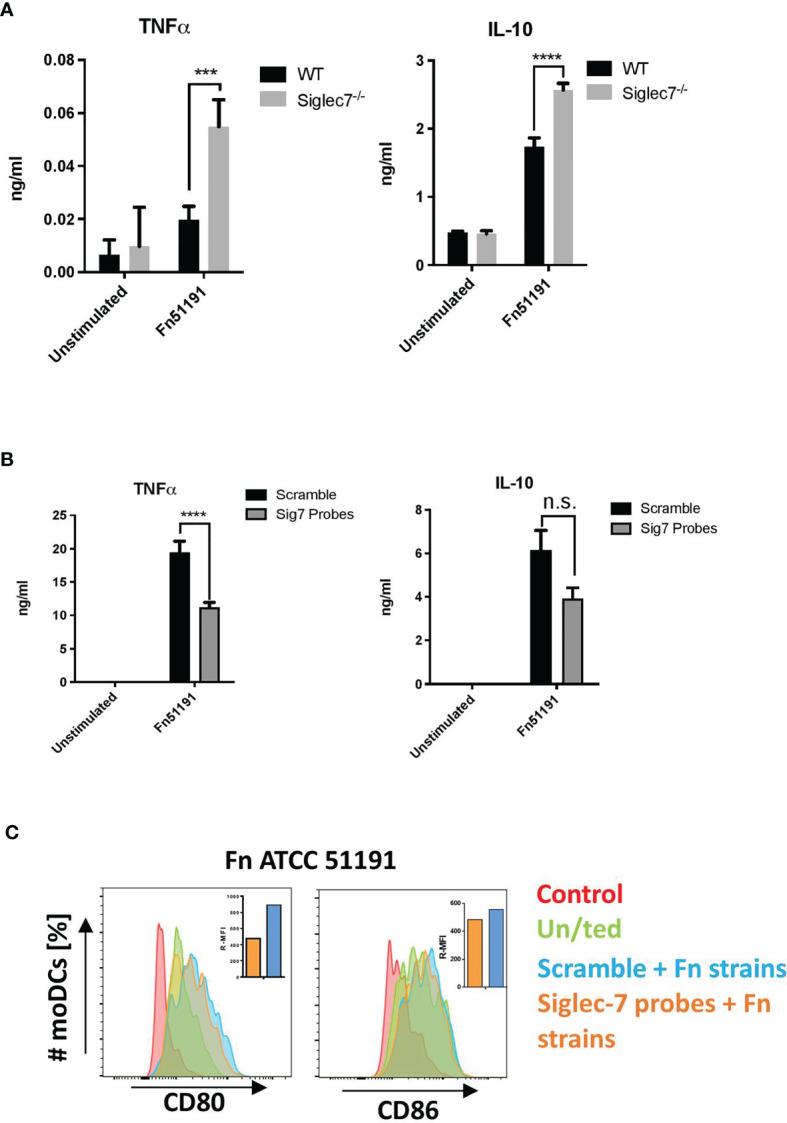 https://cdn.ncbi.nlm.nih.gov/pmc/blobs/48fb/8517482/de41175ff6e8/fimmu-12-744184-g005.jpg