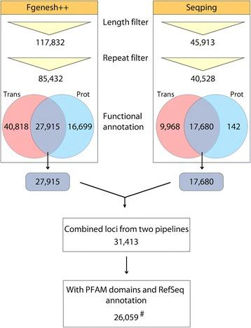 https://cdn.ncbi.nlm.nih.gov/pmc/blobs/48fc/5591544/79410809487e/13062_2017_191_Fig1_HTML.jpg