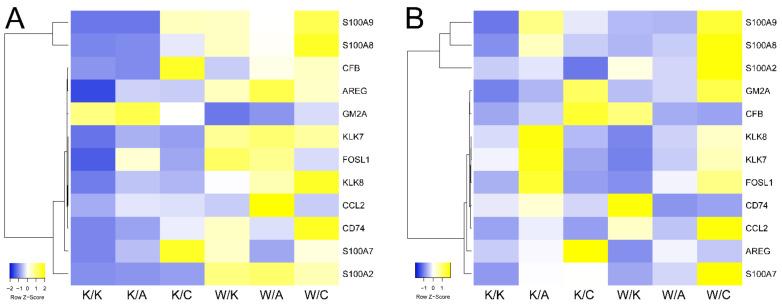 https://cdn.ncbi.nlm.nih.gov/pmc/blobs/48fd/8231628/a965f6a15bbd/cancers-13-02957-g011.jpg