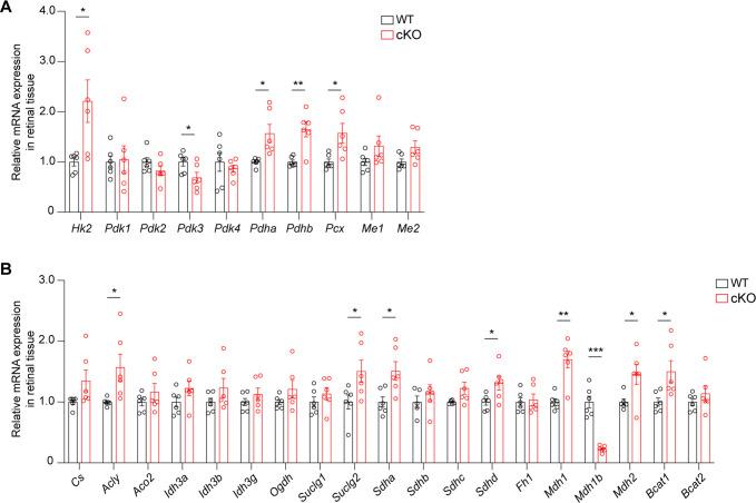 https://cdn.ncbi.nlm.nih.gov/pmc/blobs/48fe/12094702/4f1c1d660af8/elife-100747-fig4-figsupp1.jpg