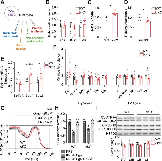 https://cdn.ncbi.nlm.nih.gov/pmc/blobs/48fe/12094702/7f44e2d28690/elife-100747-fig4.jpg