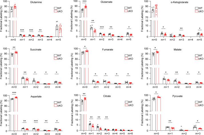 https://cdn.ncbi.nlm.nih.gov/pmc/blobs/48fe/12094702/de6cdcb14b91/elife-100747-fig5-figsupp2.jpg