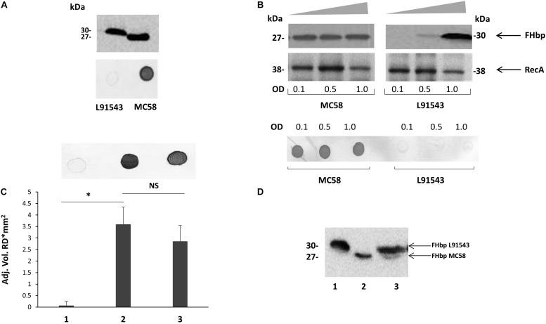 https://cdn.ncbi.nlm.nih.gov/pmc/blobs/48fe/6930937/ae44eddd83a4/fmicb-10-02847-g002.jpg