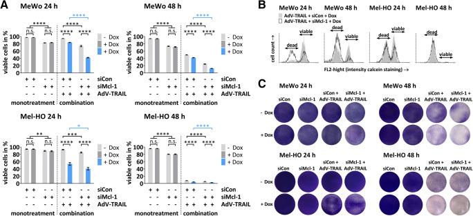 https://cdn.ncbi.nlm.nih.gov/pmc/blobs/4900/8367928/42e0607bfbf0/109_2021_2081_Fig4_HTML.jpg