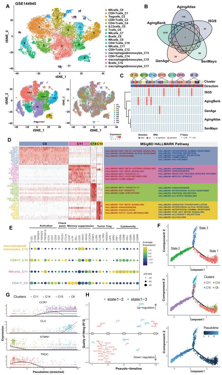 https://cdn.ncbi.nlm.nih.gov/pmc/blobs/4905/11720133/0ce6bf260aa8/cancers-17-00085-g003.jpg
