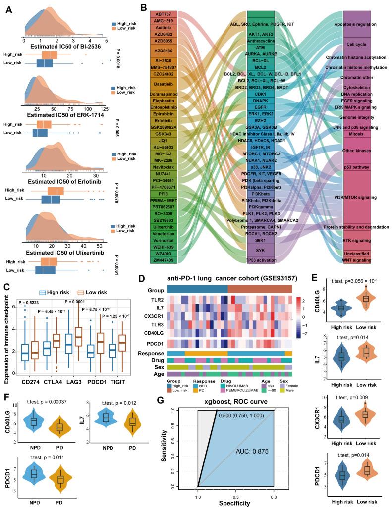 https://cdn.ncbi.nlm.nih.gov/pmc/blobs/4905/11720133/6299aecc8520/cancers-17-00085-g008.jpg