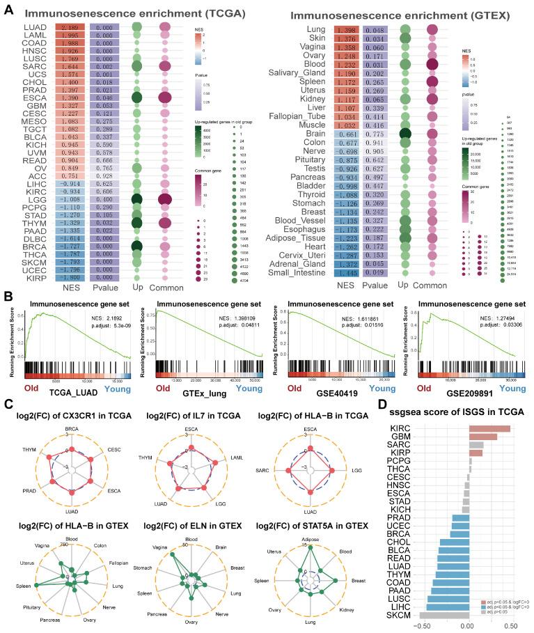 https://cdn.ncbi.nlm.nih.gov/pmc/blobs/4905/11720133/7576075786d3/cancers-17-00085-g002.jpg