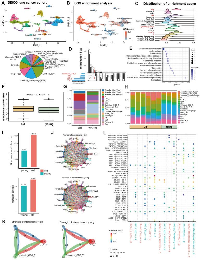 https://cdn.ncbi.nlm.nih.gov/pmc/blobs/4905/11720133/936659e6bf2a/cancers-17-00085-g004.jpg