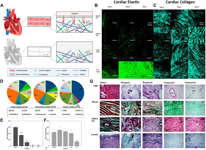 https://cdn.ncbi.nlm.nih.gov/pmc/blobs/4905/8918733/3bc610bafac0/fbioe-10-831300-g003.jpg