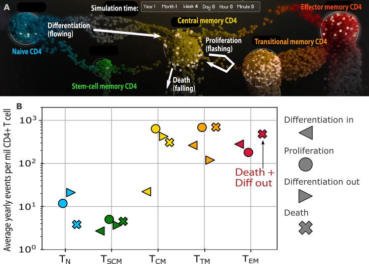https://cdn.ncbi.nlm.nih.gov/pmc/blobs/4909/12282085/a41f5892211a/jvi.00714-25.f002.jpg