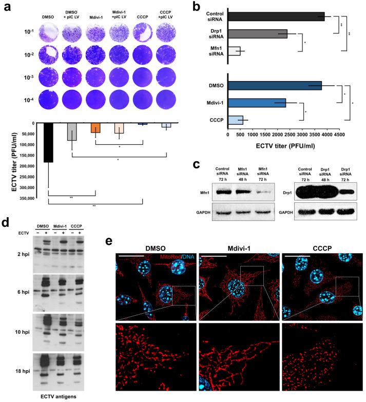 https://cdn.ncbi.nlm.nih.gov/pmc/blobs/490b/11434706/3cd13ed76ae8/pathogens-13-00717-g001.jpg