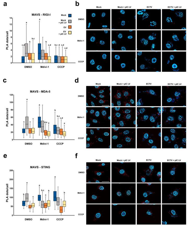 https://cdn.ncbi.nlm.nih.gov/pmc/blobs/490b/11434706/8b6d342c186b/pathogens-13-00717-g008.jpg