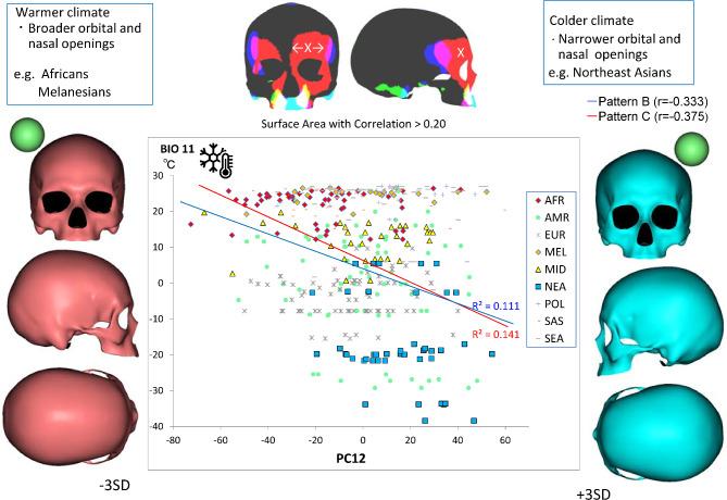 https://cdn.ncbi.nlm.nih.gov/pmc/blobs/490c/11535542/668bc68fd270/41598_2024_76715_Fig6_HTML.jpg