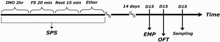 https://cdn.ncbi.nlm.nih.gov/pmc/blobs/490e/6138302/25acd213c651/TACS_A_1426699_F0001_B.jpg
