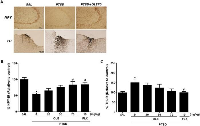https://cdn.ncbi.nlm.nih.gov/pmc/blobs/490e/6138302/f47ab25d6af0/TACS_A_1426699_F0006_C.jpg