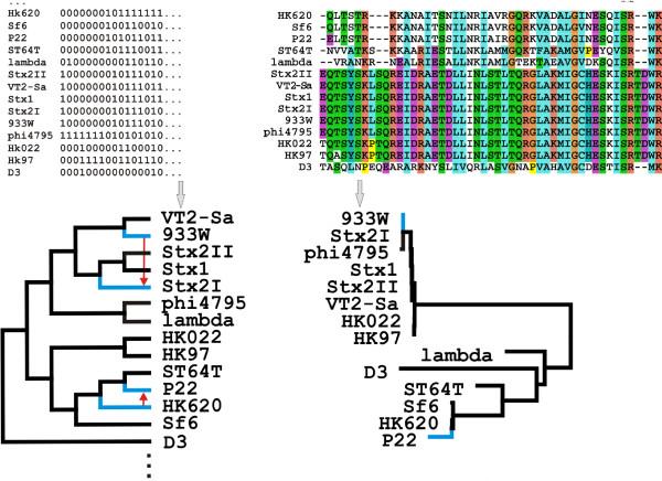 https://cdn.ncbi.nlm.nih.gov/pmc/blobs/490f/2222618/f613b8c1a8d2/1745-6150-2-36-2.jpg