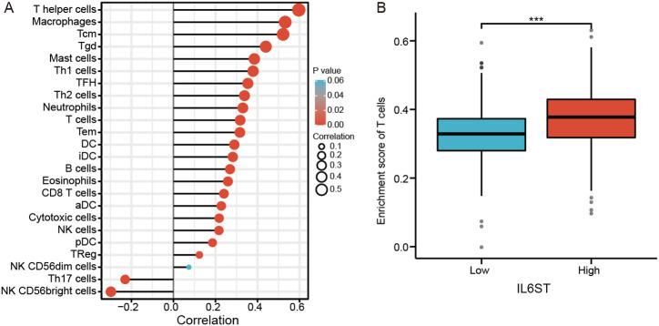 https://cdn.ncbi.nlm.nih.gov/pmc/blobs/4911/11391227/05ca8563d299/tjg-35-9-690_f004.jpg