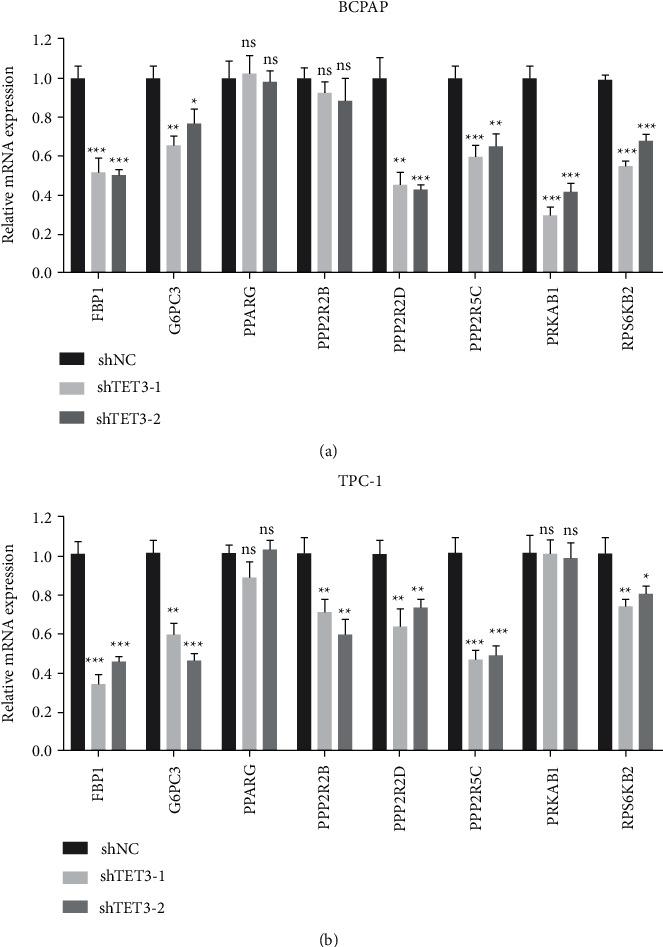 https://cdn.ncbi.nlm.nih.gov/pmc/blobs/4912/9217609/2035a07facbf/IJE2022-2658727.006.jpg