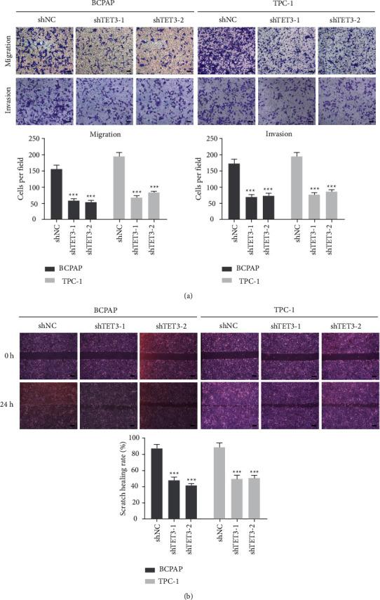 https://cdn.ncbi.nlm.nih.gov/pmc/blobs/4912/9217609/84112c186e61/IJE2022-2658727.004.jpg