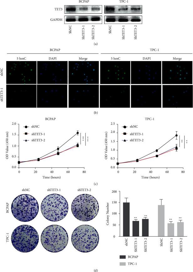 https://cdn.ncbi.nlm.nih.gov/pmc/blobs/4912/9217609/fa9bff2d5cf2/IJE2022-2658727.002.jpg