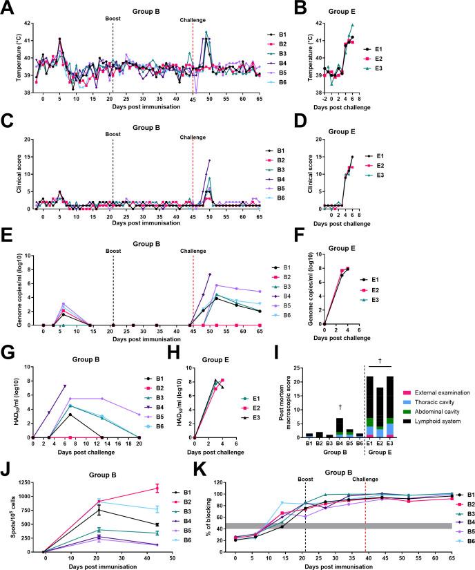 https://cdn.ncbi.nlm.nih.gov/pmc/blobs/4913/11796414/20c93870a644/mbio.01655-24.f006.jpg