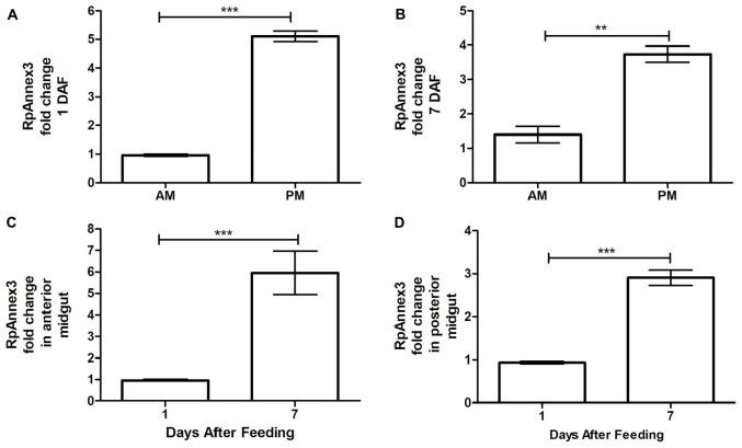 https://cdn.ncbi.nlm.nih.gov/pmc/blobs/4913/7755933/eaf874250f40/fmolb-07-589435-g008.jpg