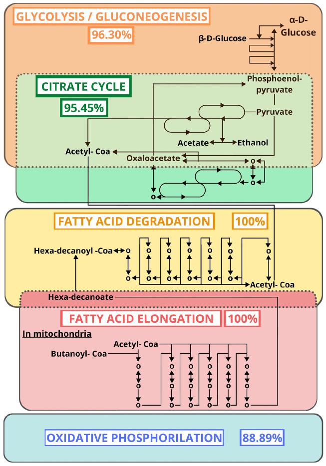 https://cdn.ncbi.nlm.nih.gov/pmc/blobs/4913/7755933/fcb8b6d1c8b7/fmolb-07-589435-g003.jpg