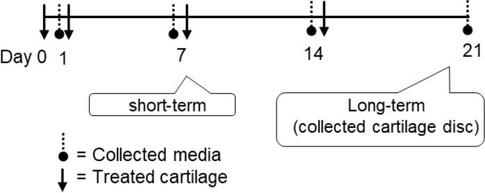 https://cdn.ncbi.nlm.nih.gov/pmc/blobs/4914/6474626/b3713e294997/pone.0215664.g001.jpg