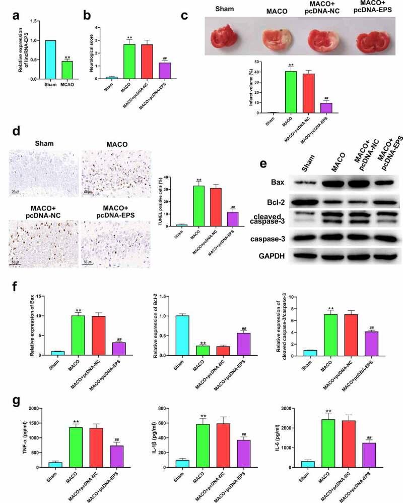 https://cdn.ncbi.nlm.nih.gov/pmc/blobs/4914/9275866/90320c8bf778/KBIE_A_2074738_F0006_OC.jpg