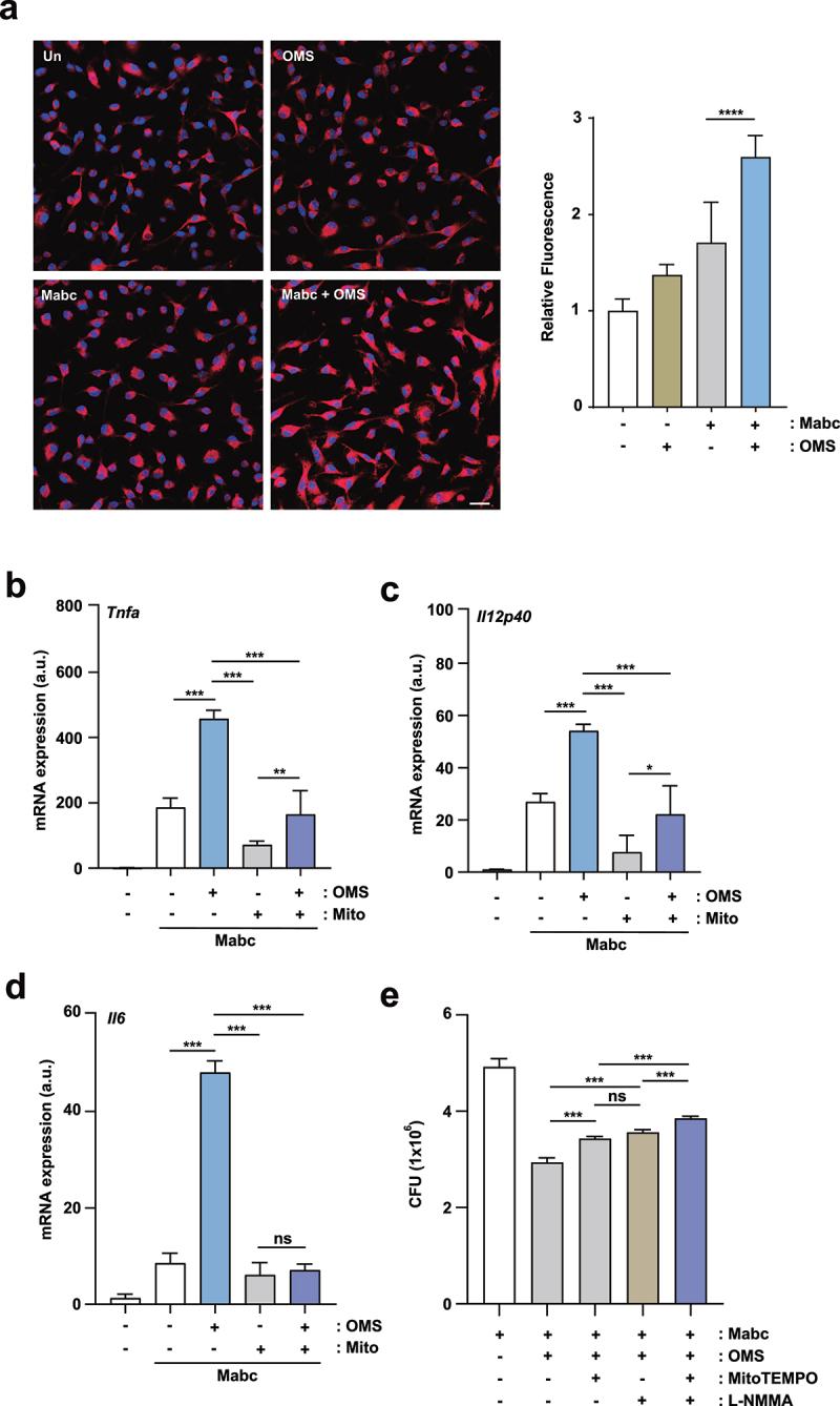 https://cdn.ncbi.nlm.nih.gov/pmc/blobs/4915/9673965/c5e932162d2b/KVIR_A_2138009_F0007_OC.jpg