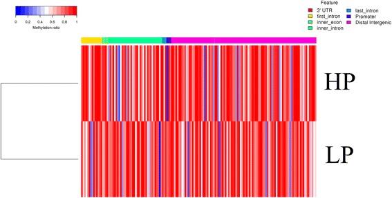 https://cdn.ncbi.nlm.nih.gov/pmc/blobs/4917/5625832/2b6b1cb31548/12864_2017_4068_Fig8_HTML.jpg