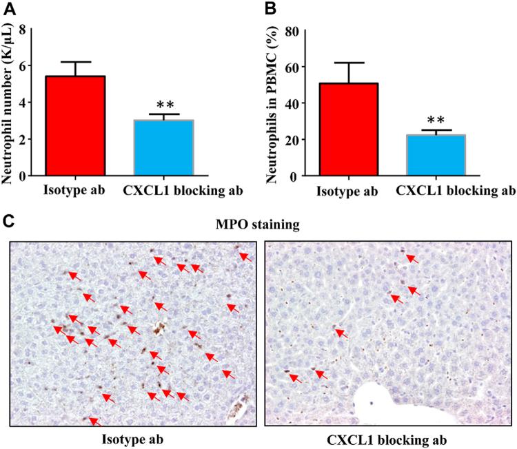 https://cdn.ncbi.nlm.nih.gov/pmc/blobs/4918/5833701/433d94f46944/41419_2018_377_Fig3_HTML.jpg