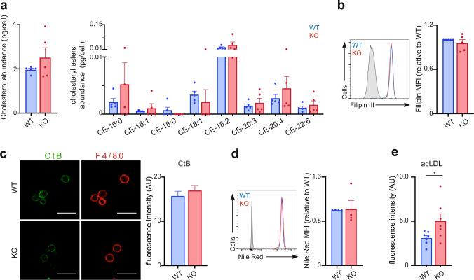 https://cdn.ncbi.nlm.nih.gov/pmc/blobs/4918/9640663/3ec681a36a10/41467_2022_34532_Fig4_HTML.jpg