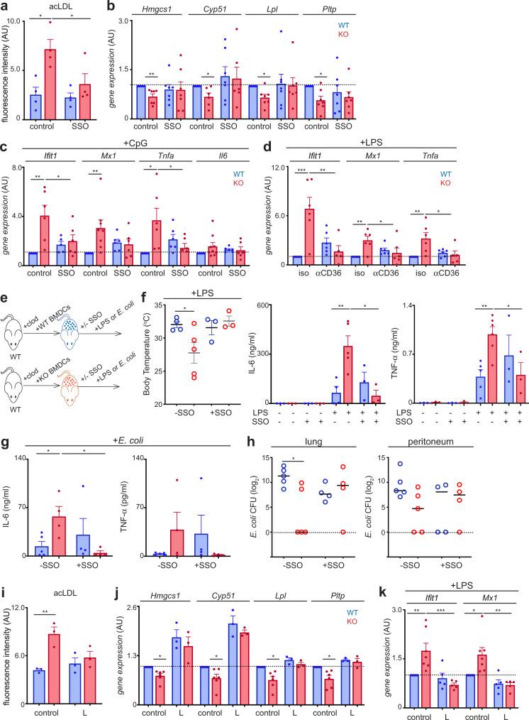 https://cdn.ncbi.nlm.nih.gov/pmc/blobs/4918/9640663/ab0d8ff1ae7a/41467_2022_34532_Fig5_HTML.jpg