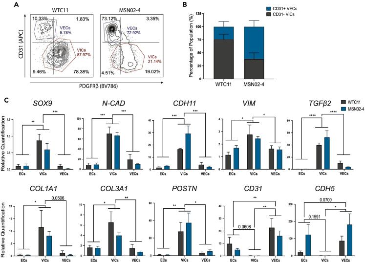 https://cdn.ncbi.nlm.nih.gov/pmc/blobs/491b/10758960/e55a144847cb/gr3.jpg