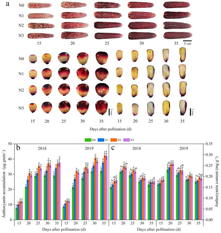 https://cdn.ncbi.nlm.nih.gov/pmc/blobs/491d/11510902/476896c81150/plants-13-02882-g001.jpg