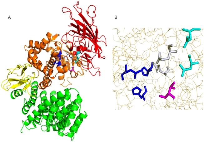 https://cdn.ncbi.nlm.nih.gov/pmc/blobs/4920/2919393/a03089cfb13e/pntd.0000796.g005.jpg