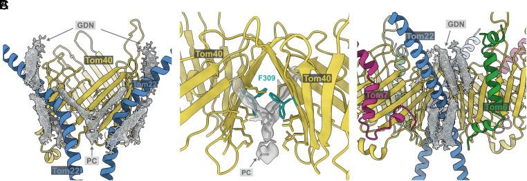 https://cdn.ncbi.nlm.nih.gov/pmc/blobs/4921/10450662/31a53a91716c/pnas.2301447120fig03.jpg